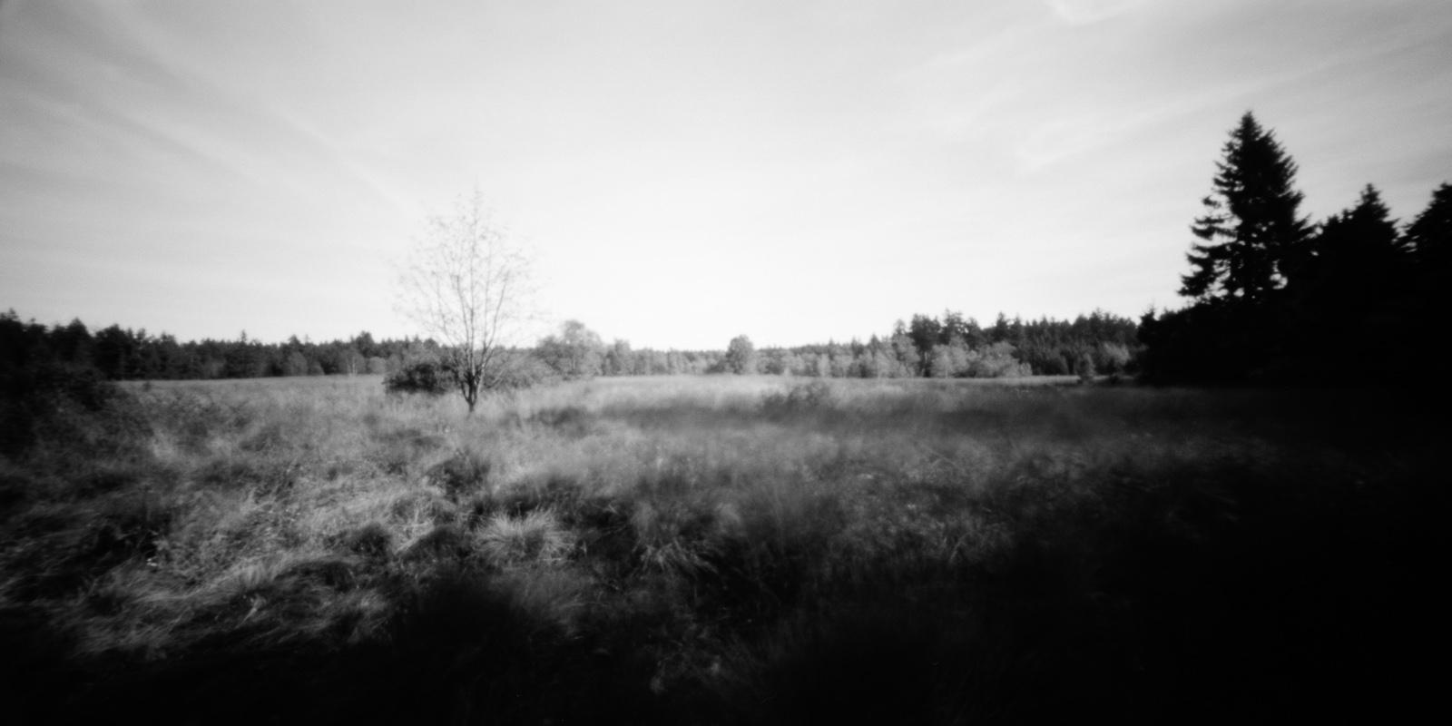Pinhole
